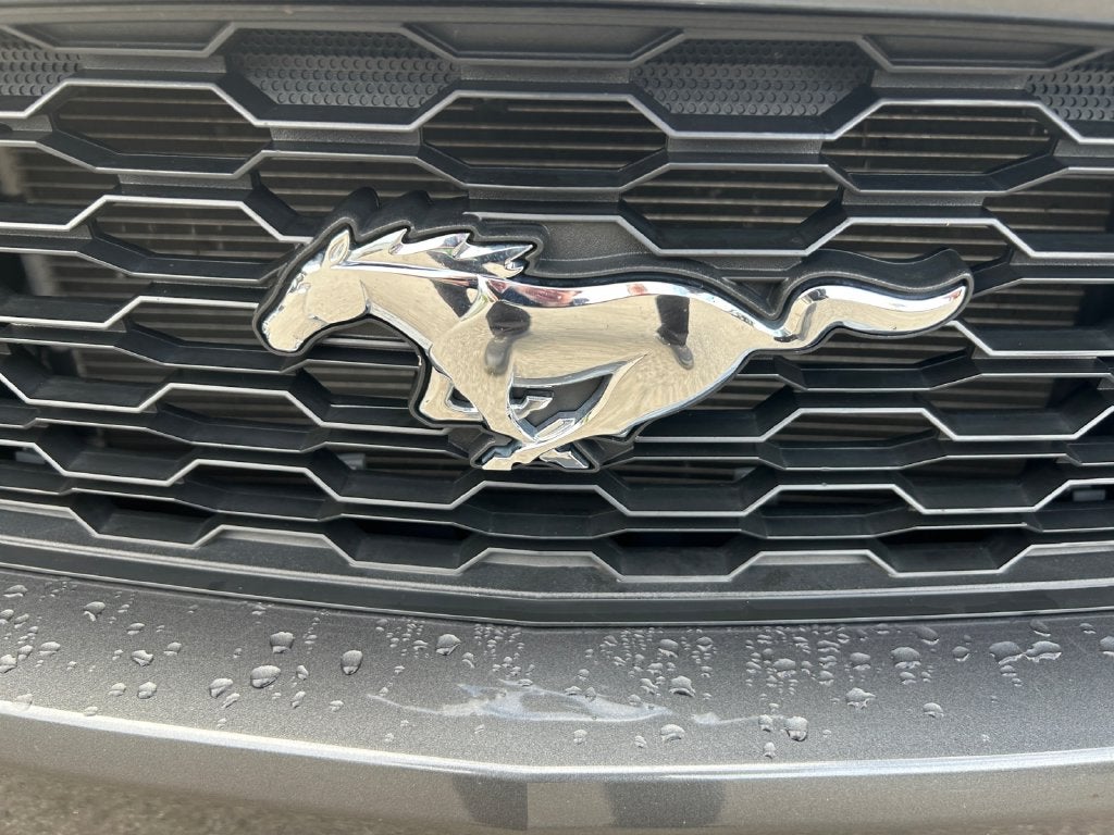 2017 Ford Mustang V6