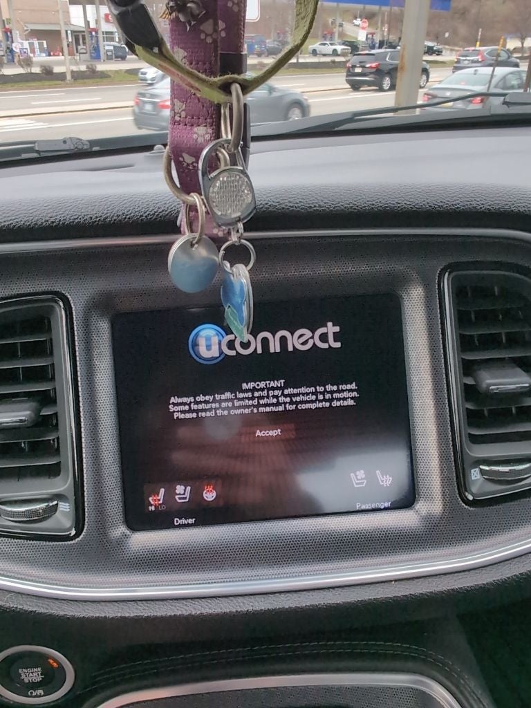 2017 Dodge Challenger SXT